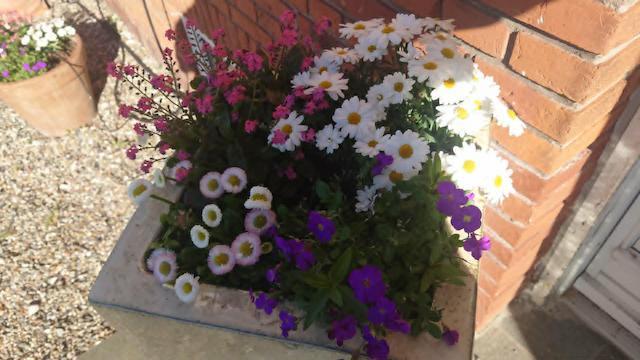 Blomster ved indgangen